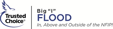 Flood-Clr-Print.jpg